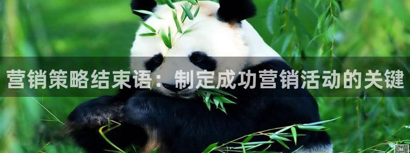 必赢官网app下载安装手机版最新版