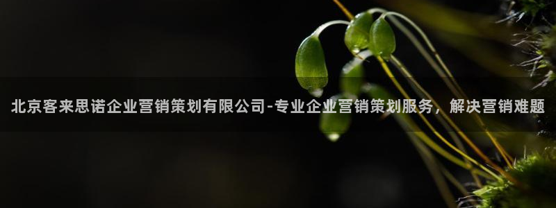 9965必赢游戏版本