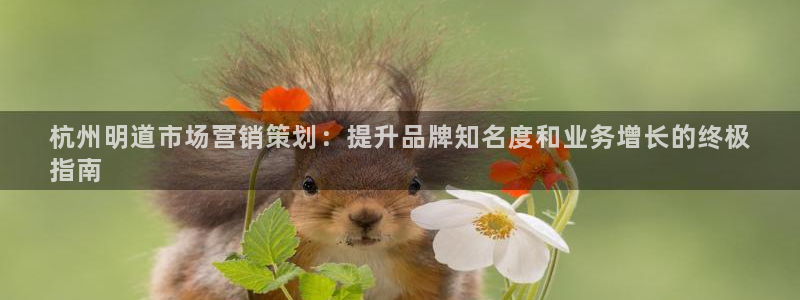 必赢国际437官方介绍