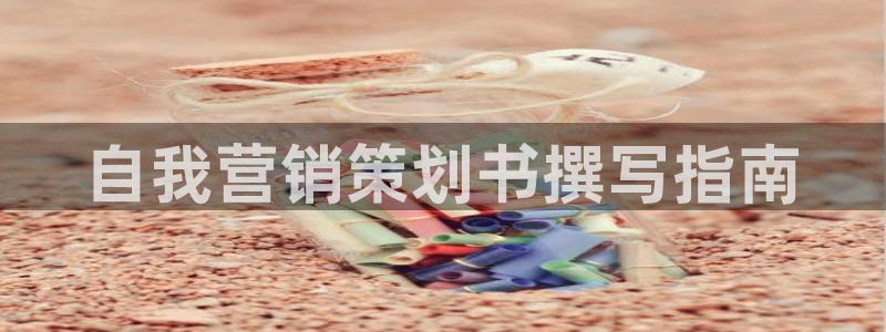 必赢网址 登录：自我营销策划书