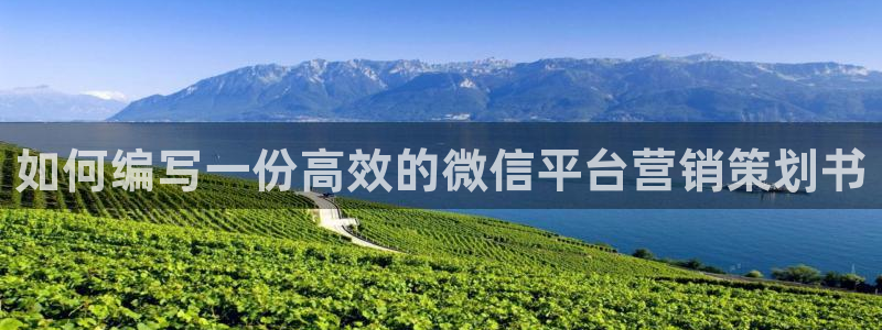 必赢亚赢网站官网下载安卓手机：