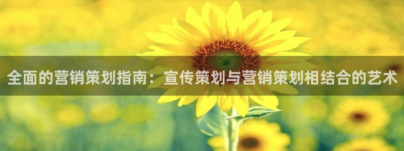必赢客软件：全面的营销策划指南